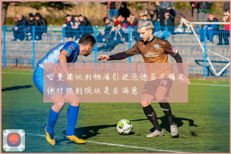 哈曼建议利物浦引进范德芬不确定他对热刺现状是否满意